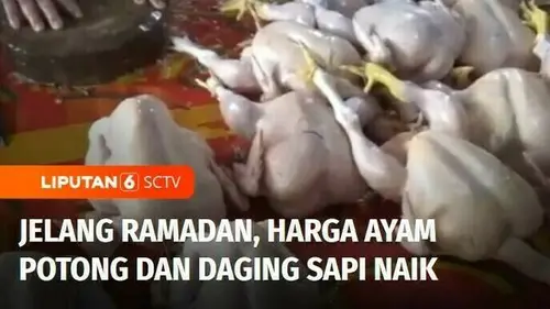 VIDEO: Jelang Ramadan, Harga Ayam Potong dan Daging Sapi Naik