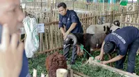 Petugas  bersiap menyembelih hewan kurban di kawasan Masjid Agung Al Azhar, Jakarta, Selasa (21/8). (Liputan6.com/Immanuel Antonius)