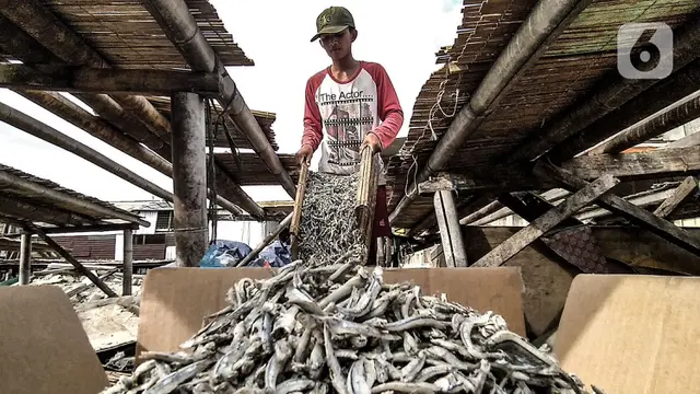 FOTO: Nelayan Ikan Asin Terdampak Pandemi dan Musim Penghujan