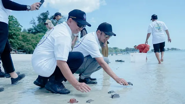 Perayaan HUT ke-12 AirNav Indonesia, Unit Tanggung Jawab Sosial dan Lingkungan (TJSL) melaksanakan Program AirNav Peduli Lingkungan berupa adopsi telur penyu dan pelepasan tukik.