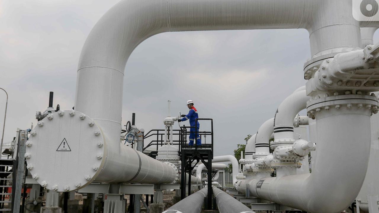 Ada Program Magang Langsung di 5 Fuel Pertamina Patra Niaga, Buka Peluang Putra Daerah Bangun Indonesia Timur
