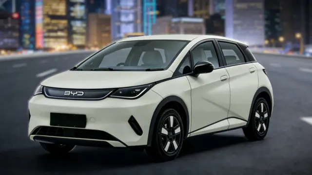 BYD Dolphin G