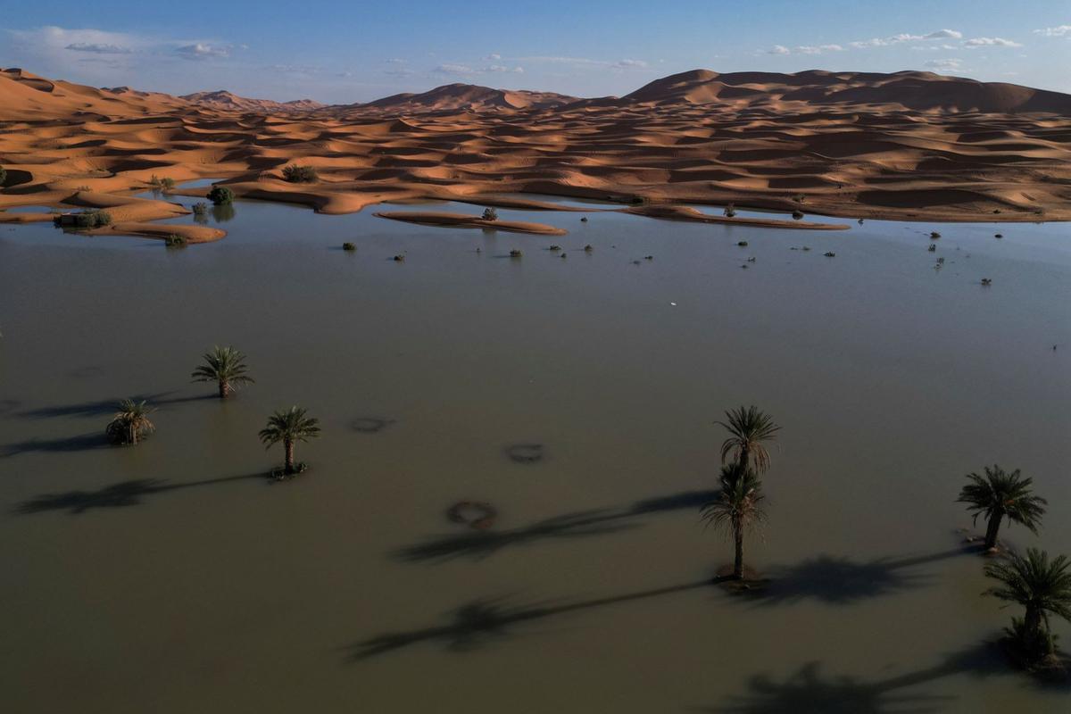 Penampakan Gurun Sahara Dilanda Banjir Langka