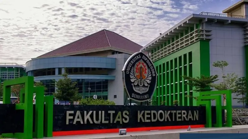 Soal Dugaan Perundungan Mahasiswi PPDS Undip, Kemendikbudristek Terjunkan Tim Inspektorat Jenderal untuk Cari Fakta