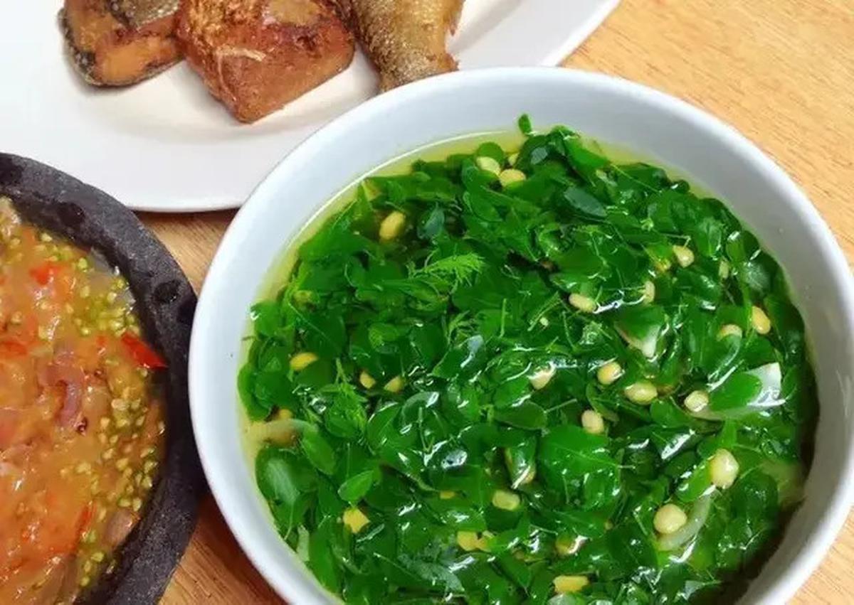 Resep Sayur Bening Daun Kelor yang Lezat dan Kaya Manfaat untuk Kesehatan