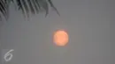 Pemandangan matahari saat kabut asap menyelimuti Narathiwat, Thailand, Senin (5/10/2015). Kabut asap dari kebakaran hutan di Indonesia kini menyelimuti provinsi di wilayah selatan Thailand. (AFP PHOTO/Madaree TOHLALA)