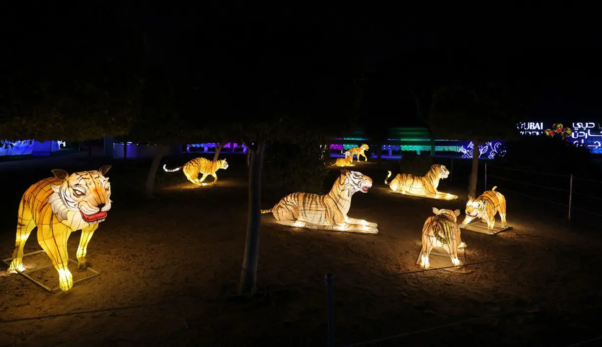 Instalasi lampu karakter harimau di Dubai Garden Glow, Dubai, Uni Emirat Arab, 1 November 2021. Instalasi tersebut dibuat dari lebih satu juta bohlam penghemat energi dan kain bercahaya daur ulang karya seniman seluruh dunia. (GIUSEPPE CACACE/AFP)