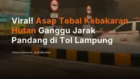Viral! Asap Tebal Kebakaran Hutan Ganggu Jarak Pandang di Tol Lampung