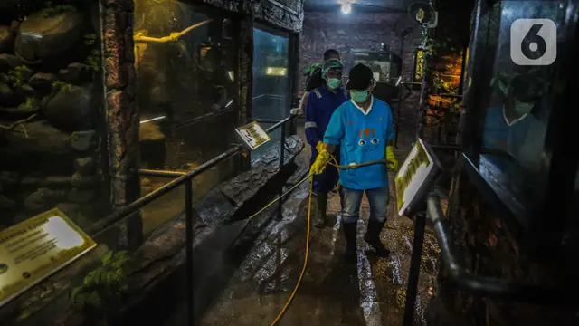 FOTO: Antisipasi Virus Corona, TMII Lakukan Penyemprotan Disinfektan