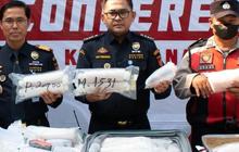174 Ribu Benih Lobster Senilai Rp26,5 M Nyaris Dikirim Ilegal ke Singapura, Begini Modusnya