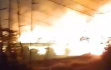 Kebakaran Kandang Ayam di Banyuwangi, 28 Ribu DOC Tewas