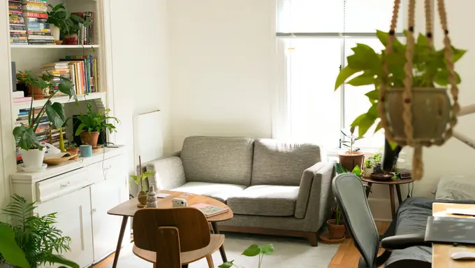 Ilustrasi Tanaman Hias