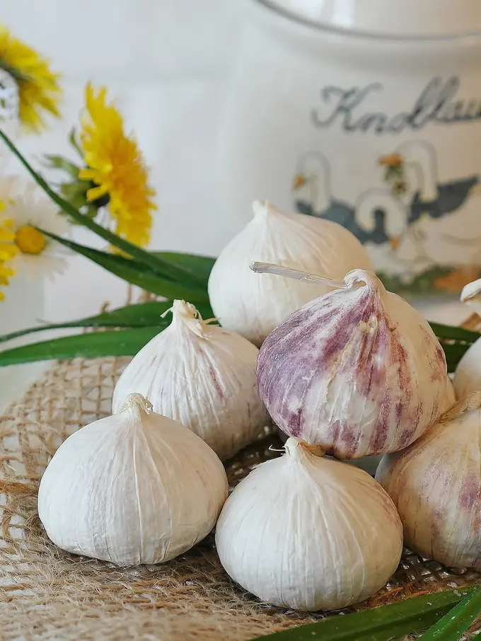 tips bawang putih