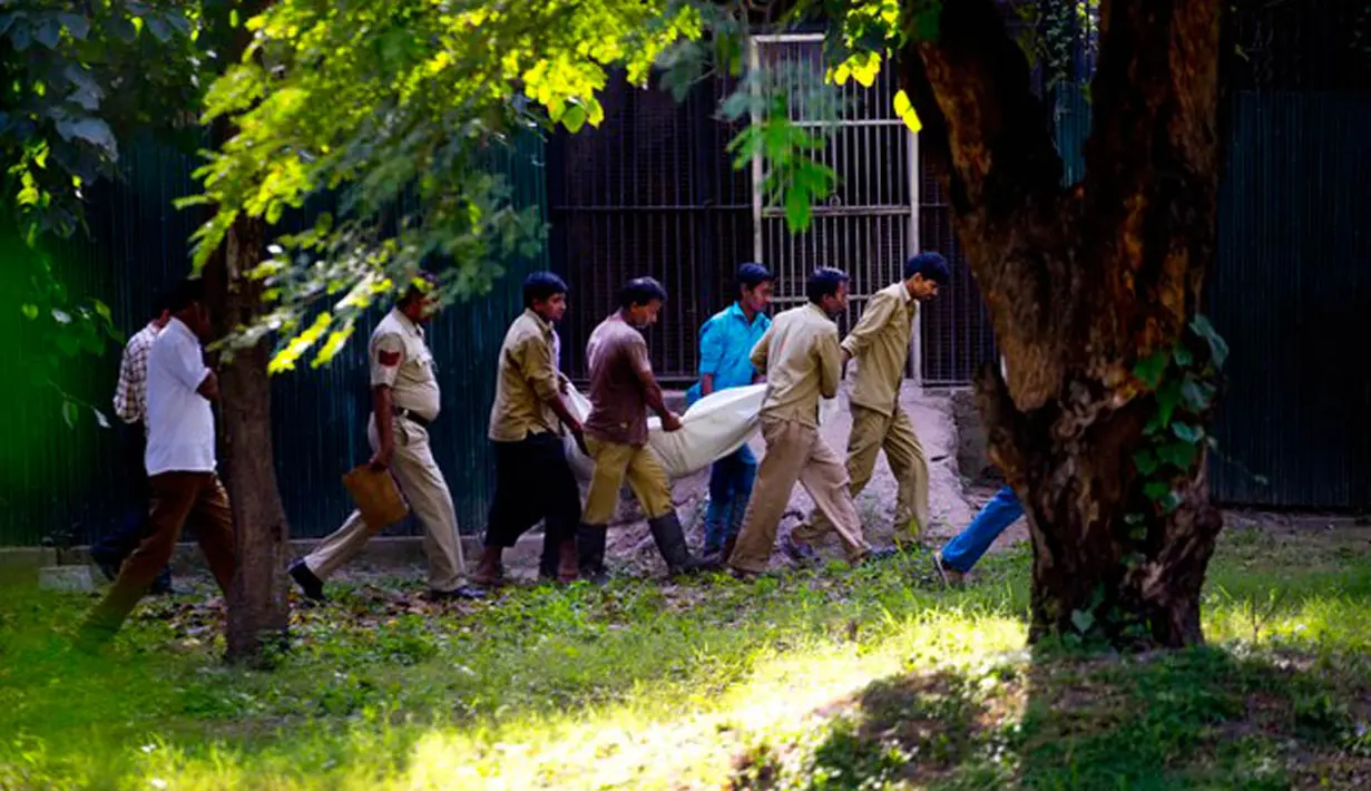 Petugas mengevakuasi jasad pria India yang dikenal dengan nama Maqsood yang tewas di dalam kandang kebun binatang Delhi, India, (24/9/14). (Dailymail)