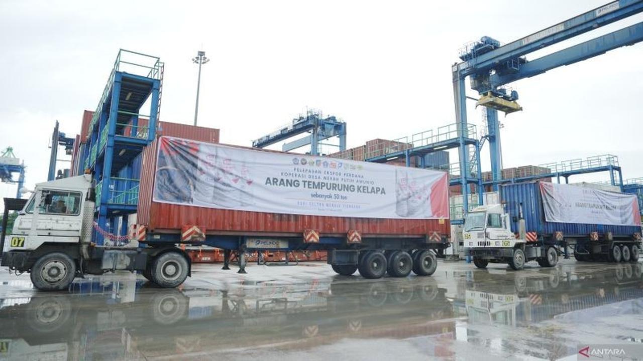 Koperasi Desa Awunio Sulawesi Tenggara Sukses Ekspor Arang Batok Kelapa ke China, Perkuat Ekonomi Rakyat
