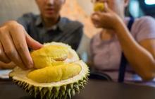 Cara Aman Makan Durian Bagi Penderita Darah Tinggi, Menikmati Tanpa Risiko