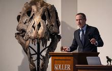 Lelang Kerangka Dinosaurus T-Rex Pecah Rekor Jadi Termahal, Terjual Seharga Rp517 MIliar