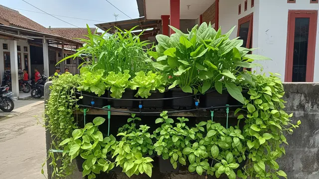 Ide Kebun Mini di Rumah dengan Sistem Irigasi Tetes Vertikal