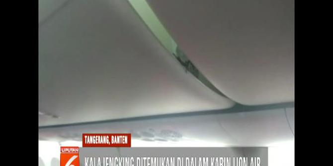Video Amatir Rekam Kalajengking Merayap di Bagasi Penumpang Lion Air