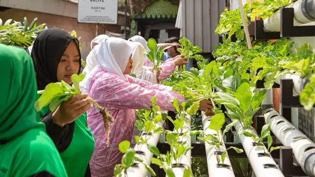 Program BRInita (BRI Bertani di Kota)