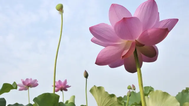 Copyright by shutterstock.com