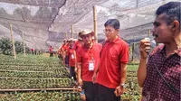 Kementerian Pertanian (Kementan) berkomitmen penuh menindaklanjuti arahan Presiden Jokowi untuk mendorong pembentukan korporasi petani.