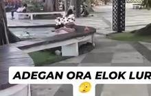Viral Sejoli Indehoy di Plaza GOR Manahan Solo, Satpol PP Turun Tangan