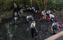 Hari Sungai Nasional, BRI Jaga Ekosistem Lewat Bersih-Bersih Sungai & Kesadaran Pengelolaan Sampah