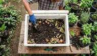 10 Cara Ternak Cacing dalam Kotak Styrofoam Bekas di Rumah