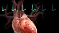 Detak jantung (Foto: Web MD)