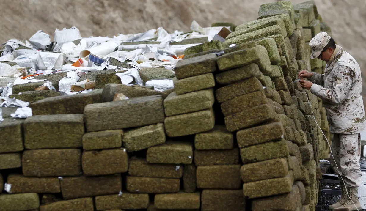 Petugas mempersiapkan tumpukan ganja dan shabu sebelum dibakar di kamp 28 Angkatan Darat di Tijuana, Meksiko, (27/11). Sekitar 18 ton ganja dan satu ton methamphetamine dibakar usai disita dalam operasi tiap daerah yang berbeda. (REUTERS/Jorge Duenes)
