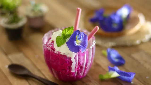 resep sorbet buah naga