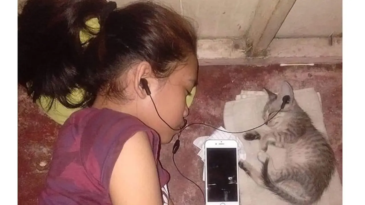 6 Potret Kompak Orang dan Kucing Saat Tidur Ini Bikin Gemas