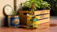 8 Inspirasi Recycle Barang Bekas Parcel Lebaran untuk Pot Tanaman, Kreatif dan Ramah Lingkungan