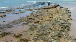 Gambar yang dirilis 7 Oktober 2019 memperlihatkan minyak tumpah di pantai Pontal de Coruripe di Coruripe, negara bagian Alagoas, Brasil. Presiden Jair Bolsonaro menyebut tumpahan minyak yang mencemari pantai di kawasan timur laut Brasil itu emungkinan berasal dibuang secara kriminal. (HO/IBAMA/AFP)