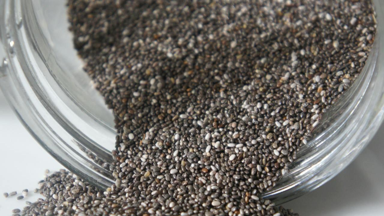 Ilustrasi Chia Seeds