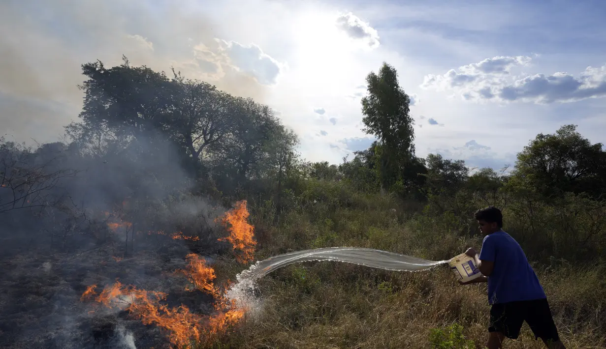 Seorang warga mencoba menyiram padang rumput yang terbakar selama kebakaran semak di lingkungan Banco San Miguel di Asuncion, Paraguay (18/1/2022). Cuaca kering yang tidak biasa memicu kebakaran di ladang terbuka, peternakan pribadi, dan lahan publik di sekitar kota. (AP Photo/Jorge Saenz)