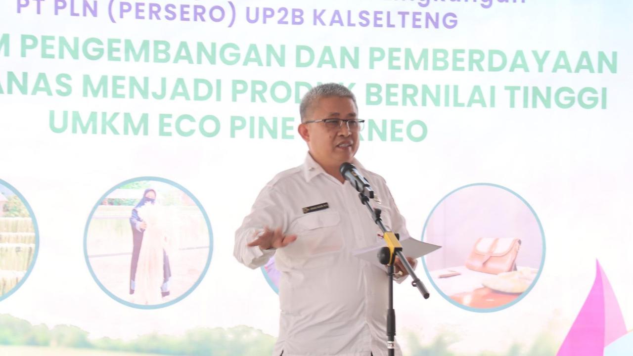 Program Pengembangan dan Pemberdayaan Daun Nanas Menjadi Produk Bernilai Tinggi