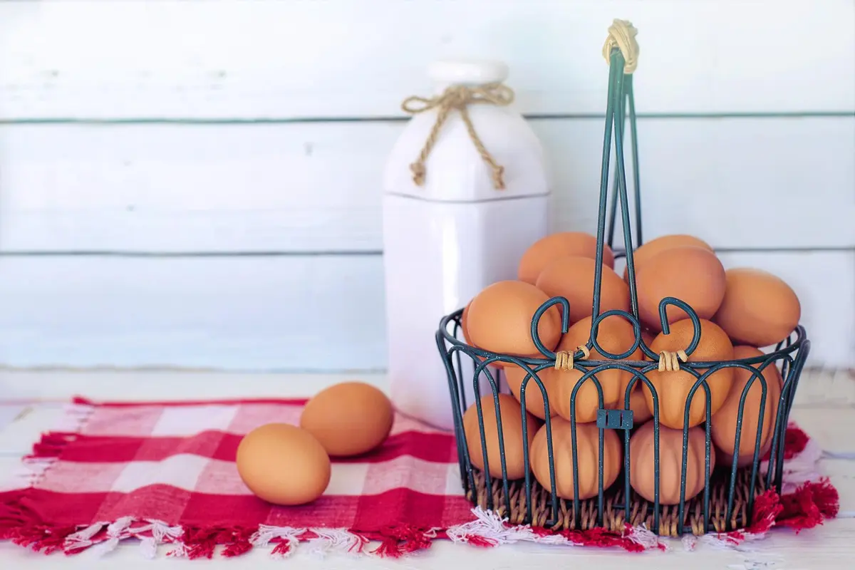 Cara Mudah Menyimpan Telur