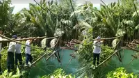 Viral Pelajar SMP di Tanggamus Lampung Bertaruh Nyawa Sebrangi Jembatan Rusak Demi Berangkat ke Sekolah