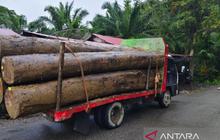 LSM GeRAK Desak Polisi Usut Dugaan Pengiriman Kayu Ilegal di Aceh Barat Pasca Banjir Bandang