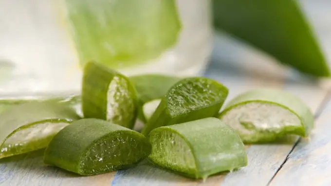 Copyright by shutterstock.com