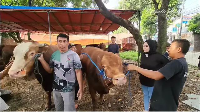 [Fimela] Nathalie Holscher