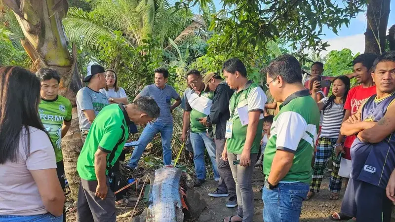 Viral Oarfish Sepanjang 4 Meter Terdampar di Pantai, Dianggap Pertanda Bencana