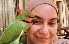 6 Potret Megah Rumah Irish Bella dan Ammar Zoni yang Kini Disewakan