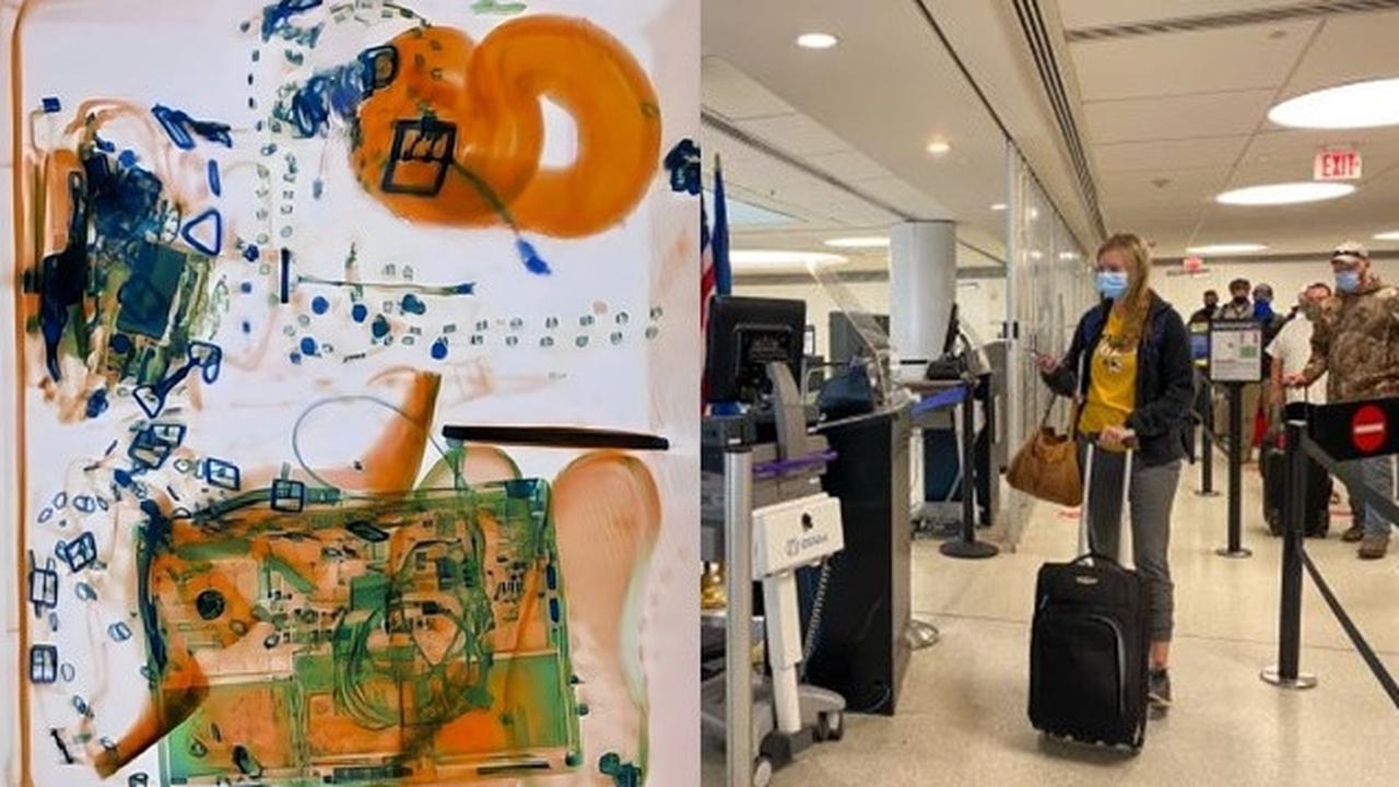 Ngeri, Wanita Ini Bawa Ular Sepanjang 1,2 Meter di Koper dalam Bagasi Pesawat