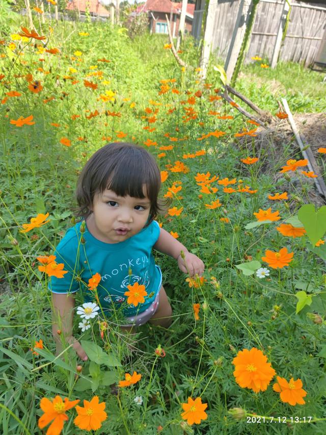 Sora grounding di tanah