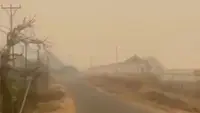 Kabut asap akibat kebakaran hutan dan lahan (karhutla) di Kabupaten Merauke, Papua Selatan, berdampak hingga Kabupaten Mimika. (Foto: Antara)
