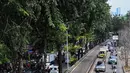 Di beberapa ruas jalan di Jakarta, kondisi pohon cukup beragam, mulai dari pohon yang rimbun dan rindang hingga yang lapuk dan berpotensi tumbang. (Liputan6.com/Angga Yuniar)