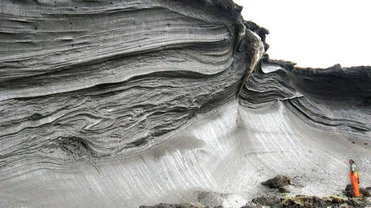 Organisme yang berada dalam kondisi crytobiotik bisa bertahan dalam lingkungan tanpa air atau oksigen dan suhu tinggi atau beku.